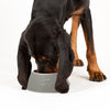Classic & Icon 2 Piece Long Eared Dog Food & Water Bowl - Cream & Grey Scruffs 