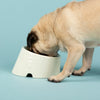 Icon 2 Piece Flat Faced Dog Bowl & Water Bowl - 15cm | 18cm - Cream Scruffs 