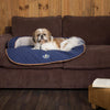 Wilton Sofa Bed - Blue Dog Bed Scruffs® 
