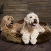 Cub Bear Dog Bed - Brown Bear Dog Bed Scruffs® 
