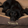 Thermal Box Bed - Brown & Tan Dog Bed Scruffs® 