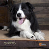 Thermal Pet Mattress - Brown & Tan Dog Bed Scruffs® 