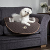 Wilton Sofa Bed - Brown Dog Bed Scruffs® 