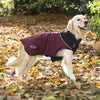 Thermal Self-Heating Dog Coat - Burgundy Dog Jacket Scruffs® 