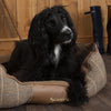 Windsor Box Dog Bed - Chesnut Dog Bed Scruffs® 