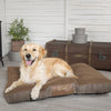 Windsor Dog Mattress - Chestnut Dog Bed Scruffs® 