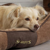 Chester Box Dog Bed - Chocolate Brown Dog Bed Scruffs® 