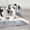 Cool Dog Bed - Grey Cooling Mat Scruffs® 