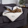 Winter Wonderland Snuggle Blanket - Grey Dog Blanket Scruffs® 