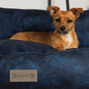Kensington Box Bed - Navy Dog Bed Scruffs® 