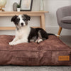 Kensington Mattress - Chocolate Dog Bed Scruffs® 
