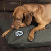 Expedition Memory Pillow Bed - Olive Green Dog Bed Scruffs® 