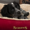 Cosy Soft-Walled Dog Bed - Burgundy Dog Bed Scruffs® 
