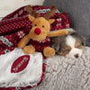 Santa Paws Blanket & Reindeer Gift Set - Red Dog Bed Scruffs® 