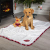Santa Paws Blanket & Reindeer Gift Set - Red Dog Bed Scruffs® 