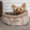 AristoCat Ring Cat Bed - Close up of small dog sat in the Tan Striped Cat Bed by Scruffs® 