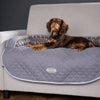 Wilton Sofa Bed - Grey Dog Bed Scruffs® 